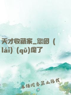 天才收藏家