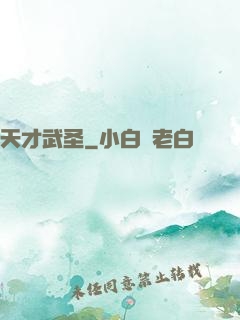 天才武圣