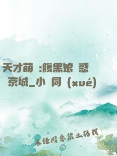 天才萌寶:腹黑娘親惑亂京城
