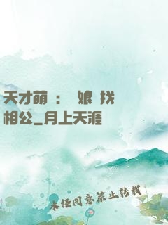 天才萌寶：給娘親找個相公
