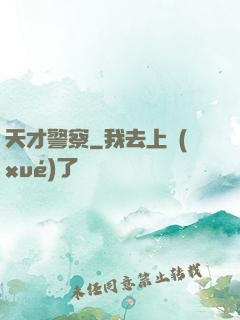天才警察