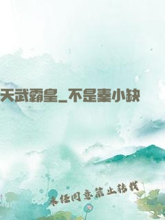 天武霸皇