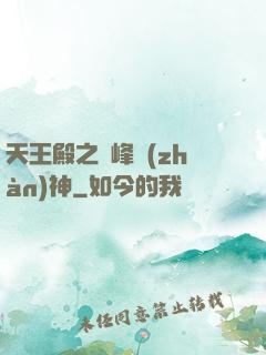 天王殿之巔峰戰(zhàn)神