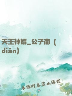 天王神婿