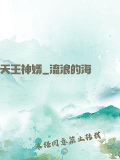 天王神婿