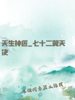 天生神匠