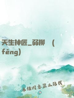 天生神匠