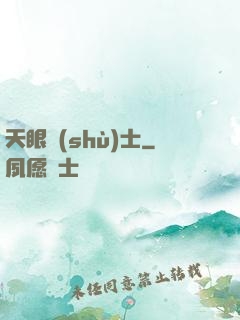 天眼術(shù)士
