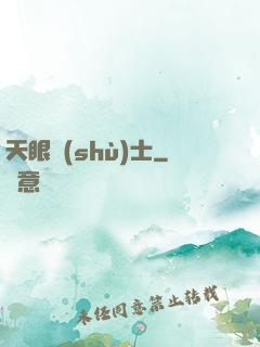 天眼術(shù)士
