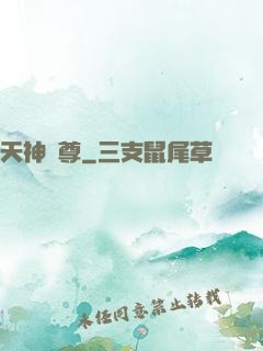 天神劍尊