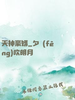 天神豪婿