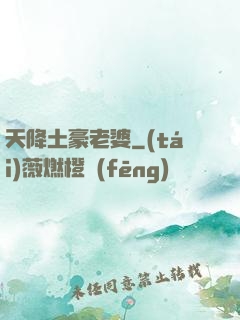 天降土豪老婆