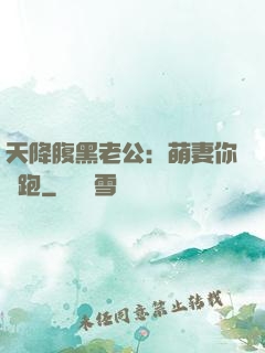 天降腹黑老公：萌妻你別跑