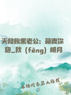 天降腹黑老公：萌妻你別跑