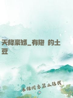 天降豪婿