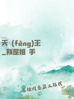 天風(fēng)王爺