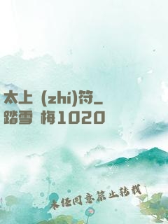 太上執(zhí)符