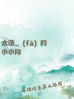 太浩