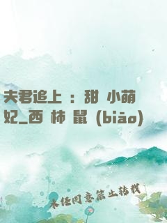 夫君追上門：甜寵小萌妃