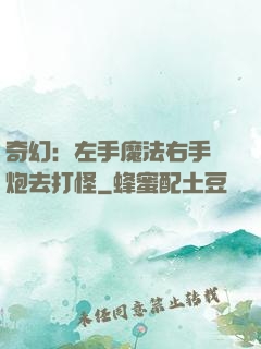奇幻：左手魔法右手槍炮去打怪
