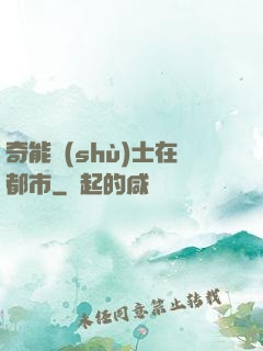 奇能術(shù)士在都市