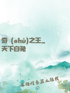 奇術(shù)之王