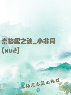 奈格里之魂