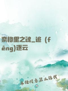 奈格里之魂