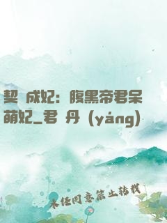 契約成妃：腹黑帝君呆萌妃