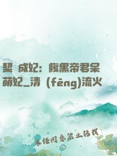 契約成妃：腹黑帝君呆萌妃