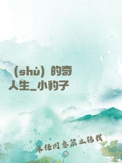 奧術(shù)師的奇異人生