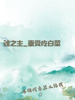奪魂之主