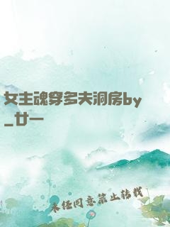 女主魂穿多夫洞房by