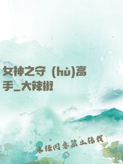 女神之守護(hù)高手