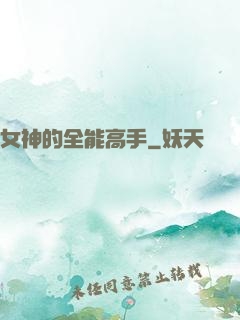 女神的全能高手