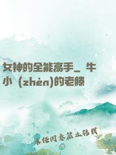 女神的全能高手