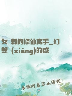 女總裁的修仙高手