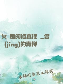 女總裁的修真保鏢