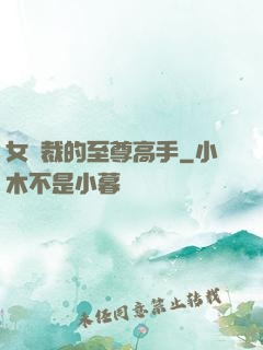 女總裁的至尊高手