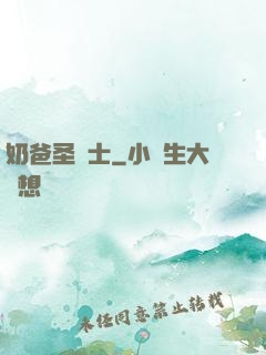 奶爸圣騎士