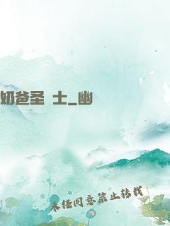 奶爸圣騎士