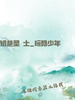 奶爸圣騎士