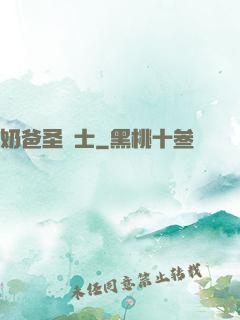 奶爸圣騎士