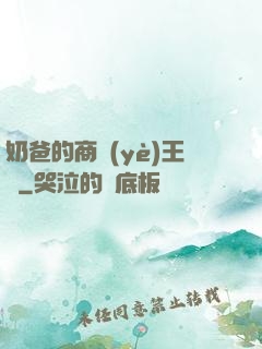 奶爸的商業(yè)王國