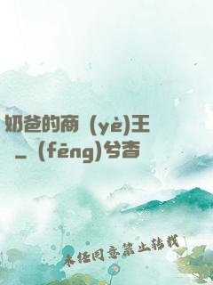 奶爸的商業(yè)王國