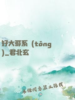 好大哥系統(tǒng)