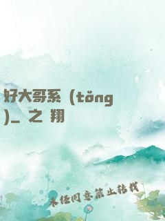 好大哥系統(tǒng)