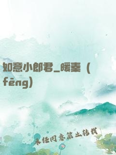 如意小郎君