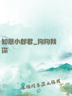 如意小郎君