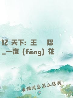 妃謀天下：王爺來過招